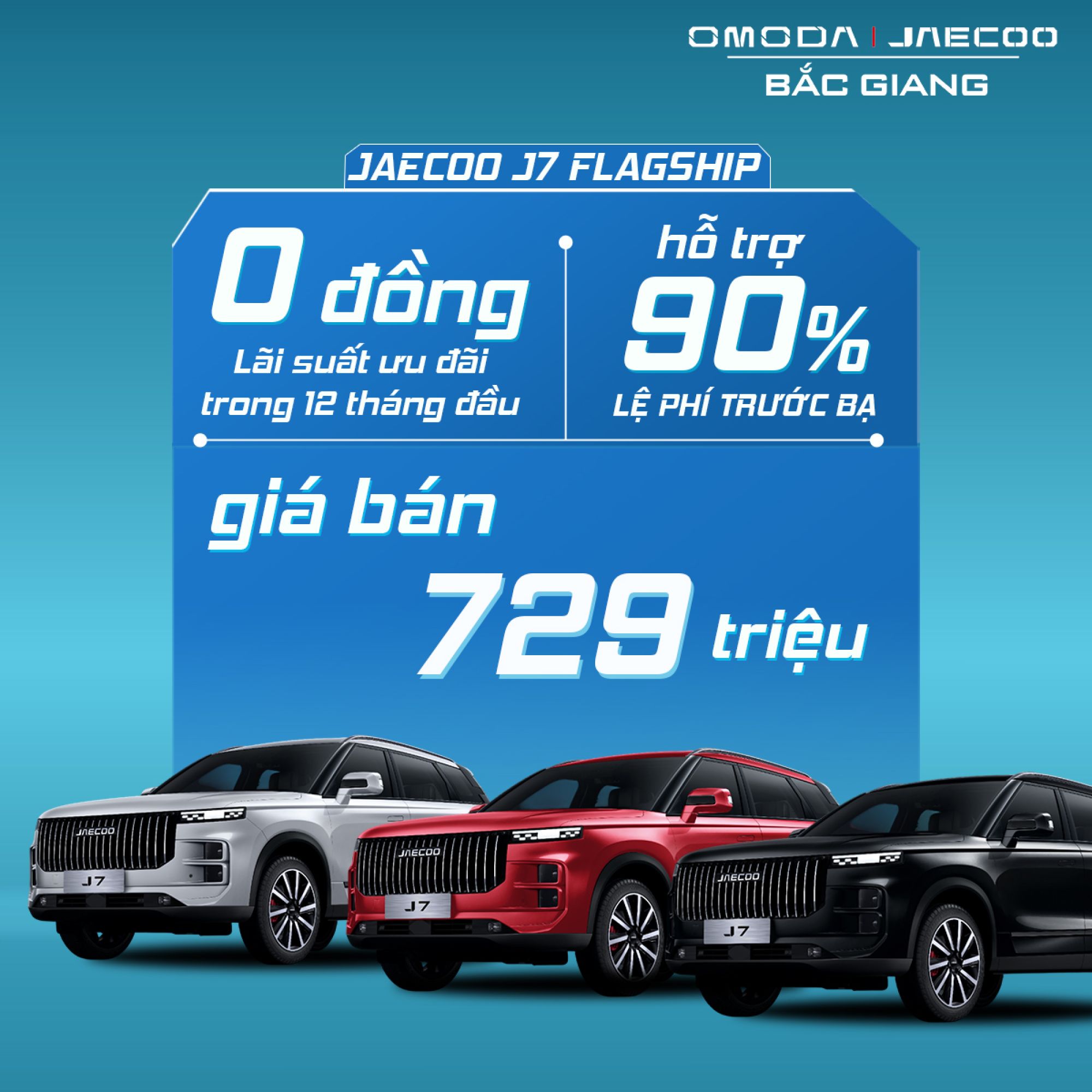 CTKM jaecoo j7flag